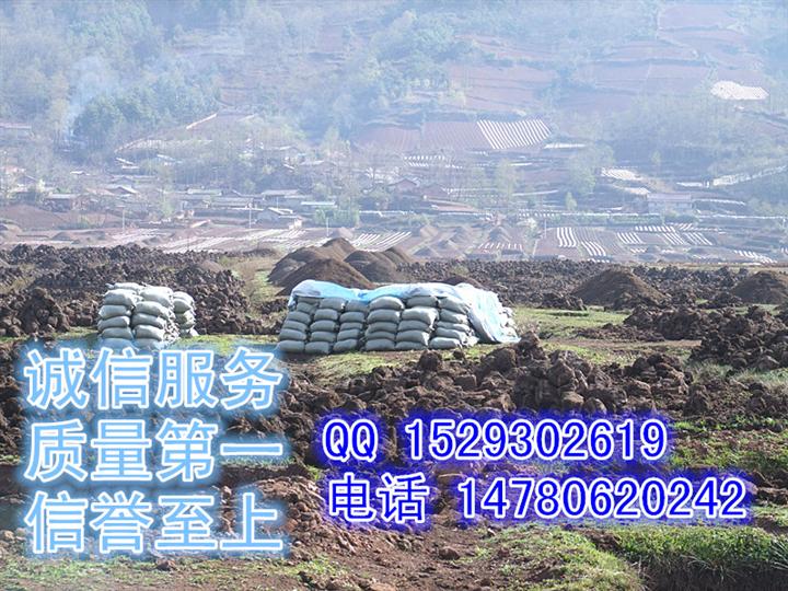 四川草炭土、四川泥炭土、四川草炭土价格