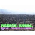 四川草炭土、四川泥炭土、四川草炭土价格