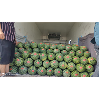 新疆昌吉西瓜代收价格咨询