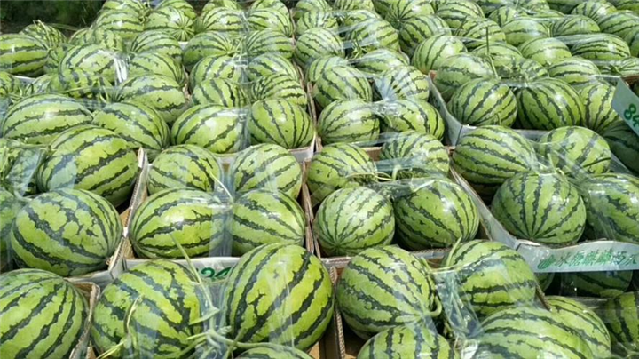 新疆西瓜代办哪家汁多