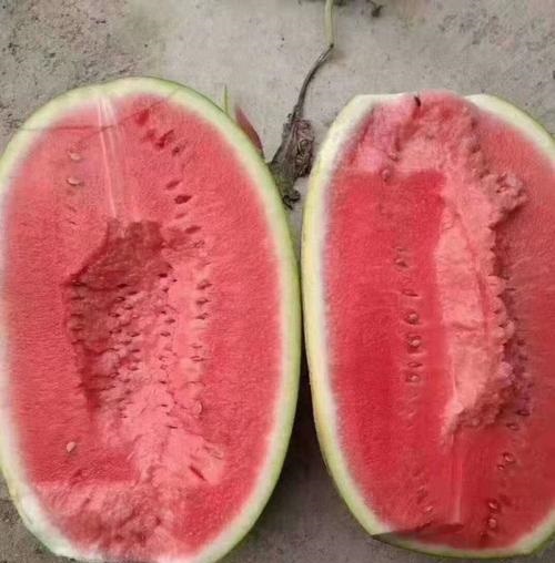 新疆代收西瓜电话多少