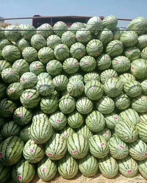 新疆昌吉附近西瓜代办哪家果肉好
