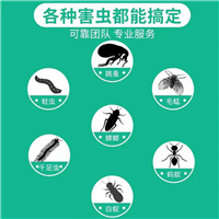 大连杀虫公司
