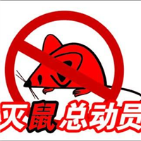 大连灭鼠_大连杀老鼠_大连灭老鼠 