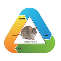 【大连灭鼠】_大连灭鼠价格_大连灭鼠 