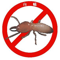 大连灭鼠