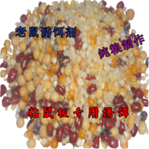 大连除四害