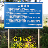 2016-软枣苗 出售软枣苗 软枣苗价格 