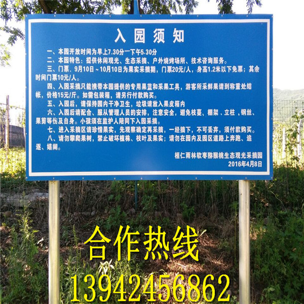 2016-软枣苗 出售软枣苗 软枣苗价格 