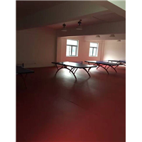 咸宁运动球场施工