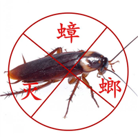 湖州灭蟑螂湖州灭老鼠湖州灭四害 
