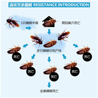 湖州灭鼠公司长兴灭鼠德清灭鼠公司 