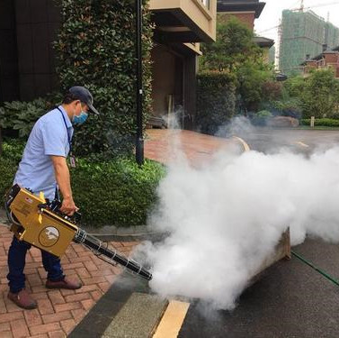 安吉县灭老鼠老鼠是怎么进入家里的湖州安吉灭鼠公司 