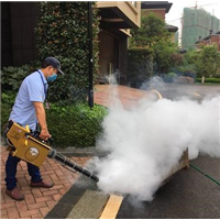安吉县灭老鼠老鼠是怎么进入家里的湖州安吉灭鼠公司 