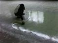 河北地坪漆-河北环氧地坪漆 工程案例之天宝再生资源公司地坪漆施工1 