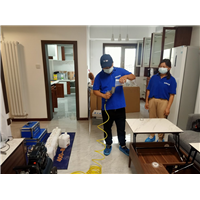 保定专业测甲醛除甲醛公司