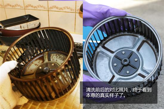 【东莞油烟机清洗、东莞清洗油烟机、东莞专业清洗油烟机】 