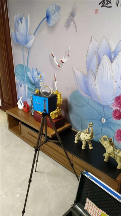 临沂除甲醛公司电话 