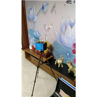 临沂除甲醛公司电话 