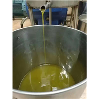 甘肃油橄榄树苗 