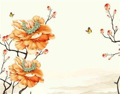 南充墙**绘,美丽乡村彩绘 