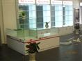 西安市烟酒展示柜|西安市**展示柜 