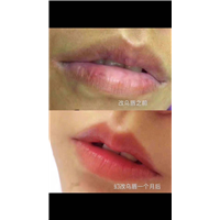 东方琢雅团队 