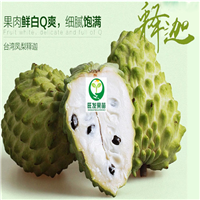 惠州果苗，惠州凤梨释伽果苗，批发凤梨释伽果苗 