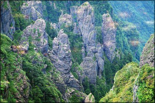 十堰旅游包车|武当山到神农架旅游包车 