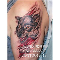 万州天龙专业无痛刺青