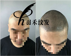 四川纹发机构