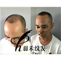 四川成都羽禾纹发