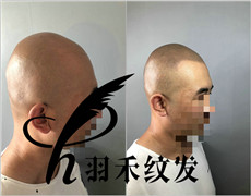 四川纹发