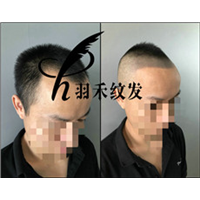 羽禾纹发