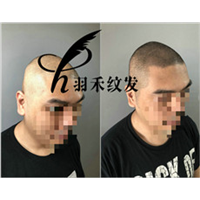 重庆纹发机构