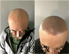 成都纹发机构