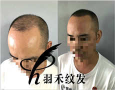 四川成都羽禾纹发