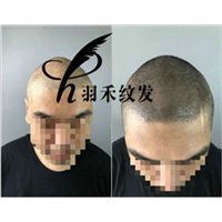 四川纹发机构