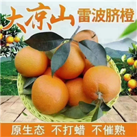 四川脐橙