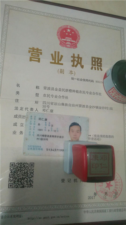 雷波脐橙批发金益民合作社营业执照 