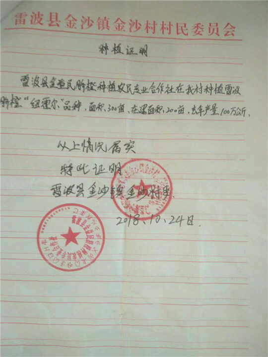 雷波脐橙批发 
