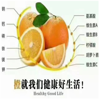 四川脐橙和赣南脐橙哪个好吃