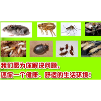 咸阳咸阳
