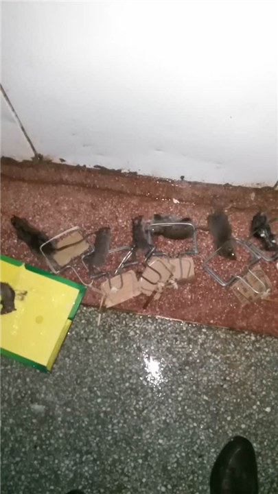 渭南专业消杀