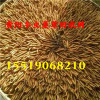 贵阳冬虫夏草回收 