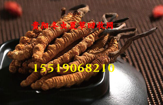 贵阳虫草回收热线/贵阳冬虫夏草公司回收1 