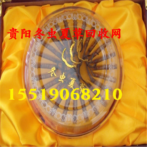 贵阳回收冬虫夏草|贵阳冬虫夏草回收 
