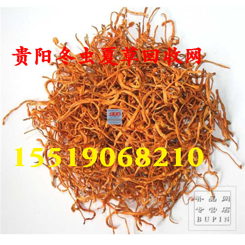 贵阳回收冬虫夏草.回收冬虫夏草 