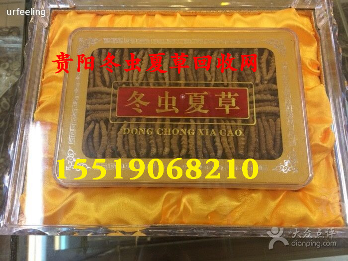 贵阳冬虫夏草回收热线 