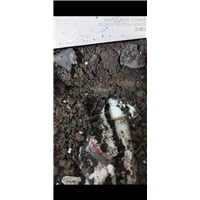 青岛市南区室外管道漏水检测维修 